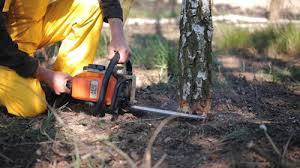 Best Emergency Tree Removal  in Pine Ridge At Crestwood, NJ